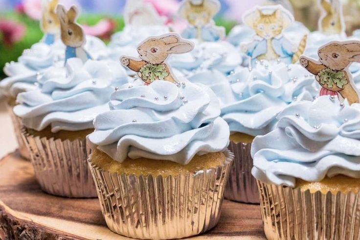 Peter Rabbit Theme Cupcakes