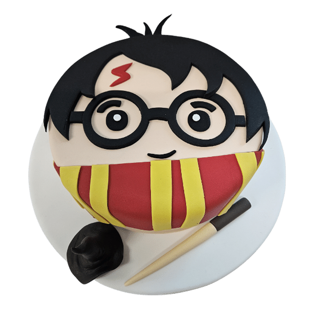  Harry Potter Birthday Cake