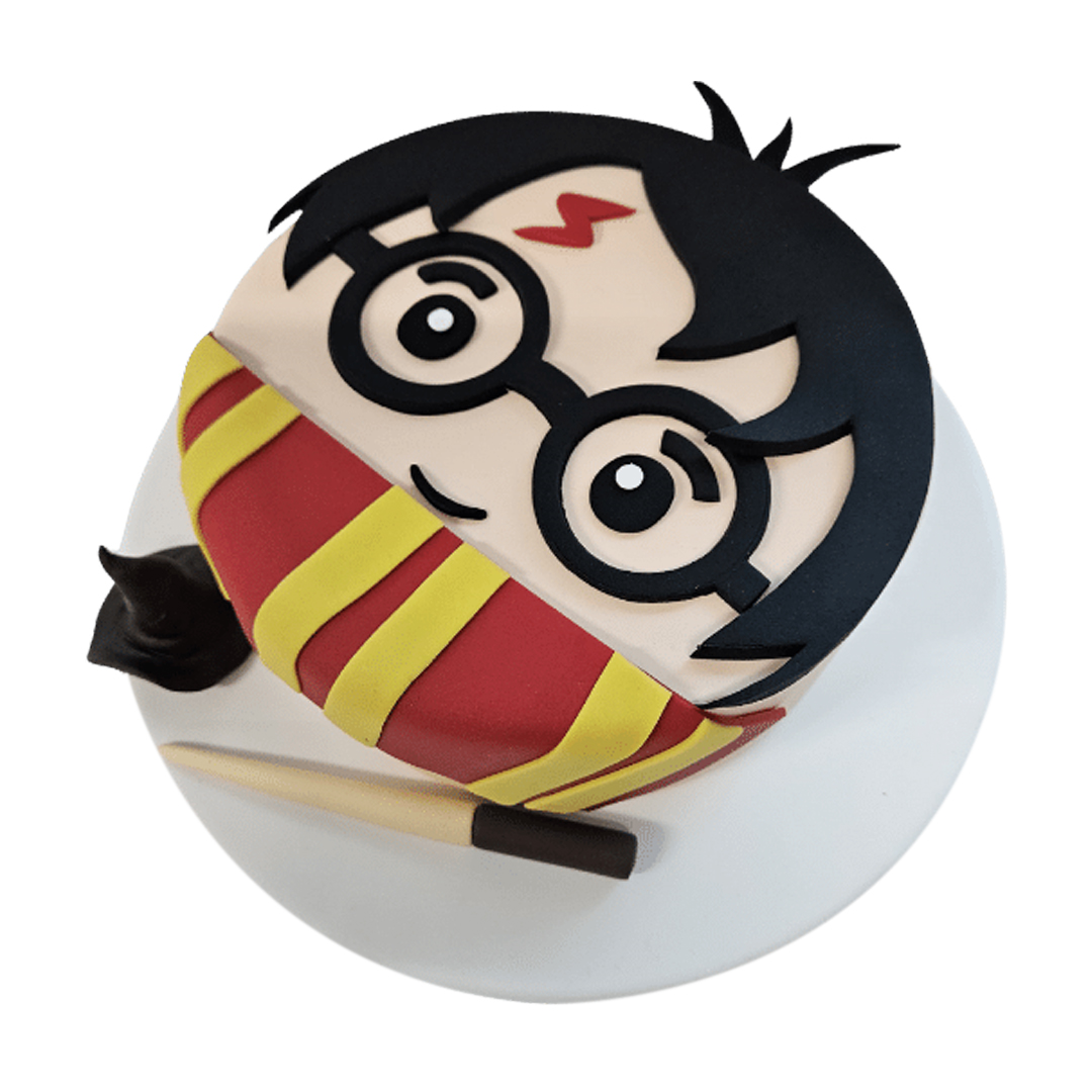  Harry Potter Birthday Cake