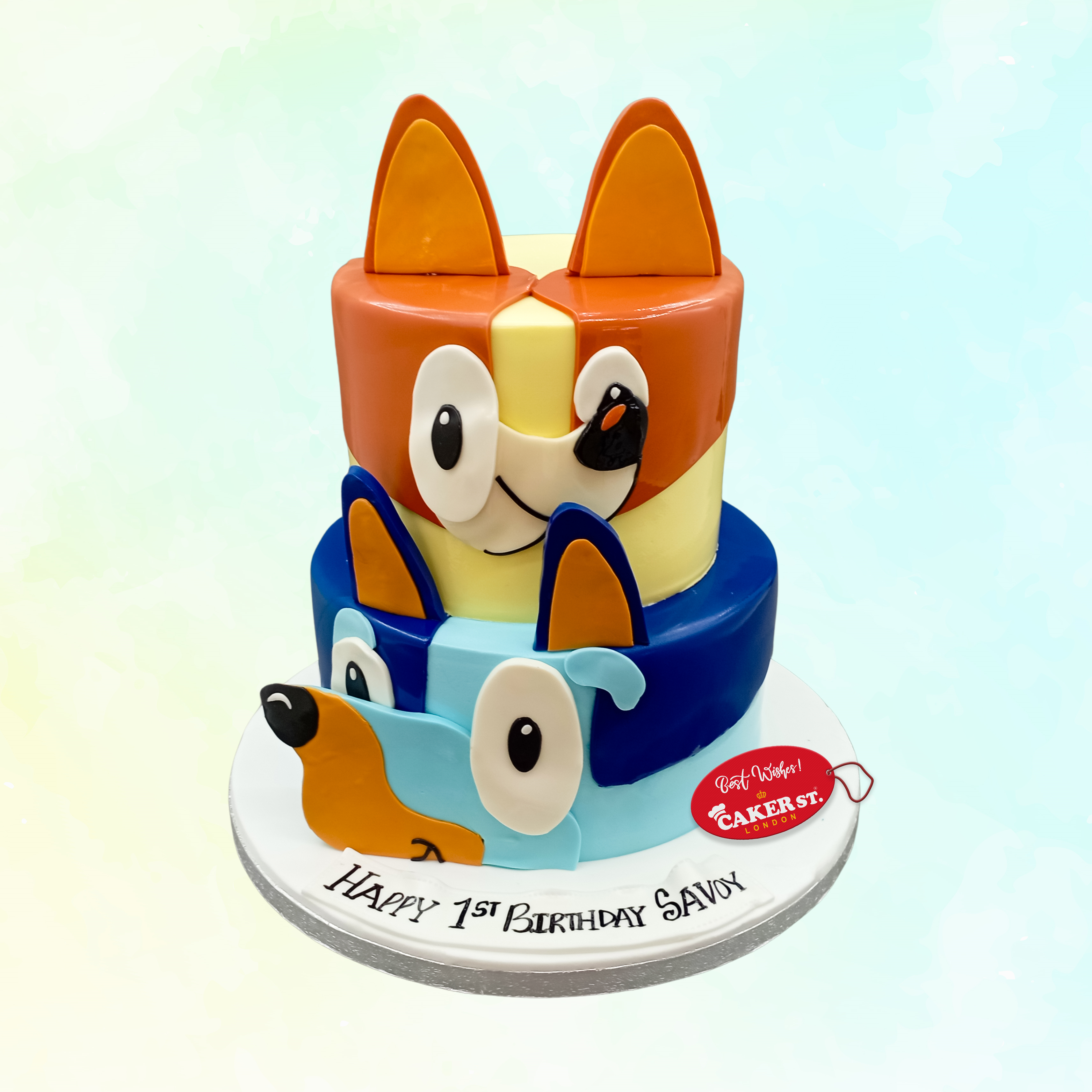  Bingo and Bluey Birthday Cake For Kids