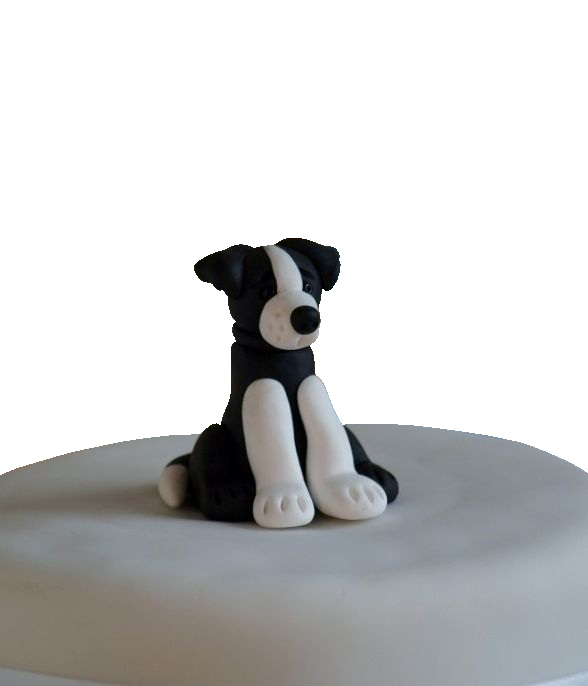 Border collie cake