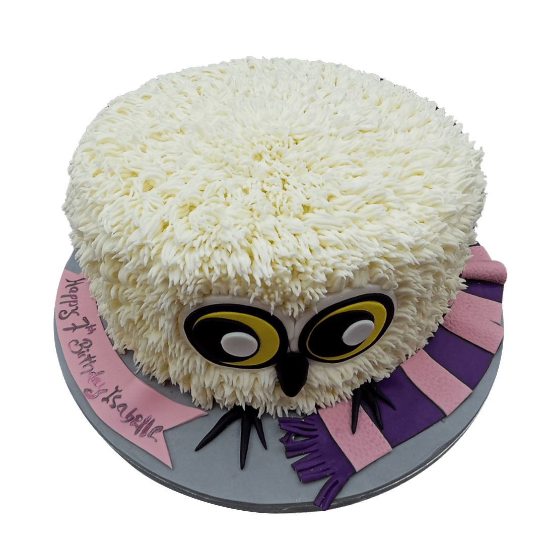 Buttercream Owl Cake