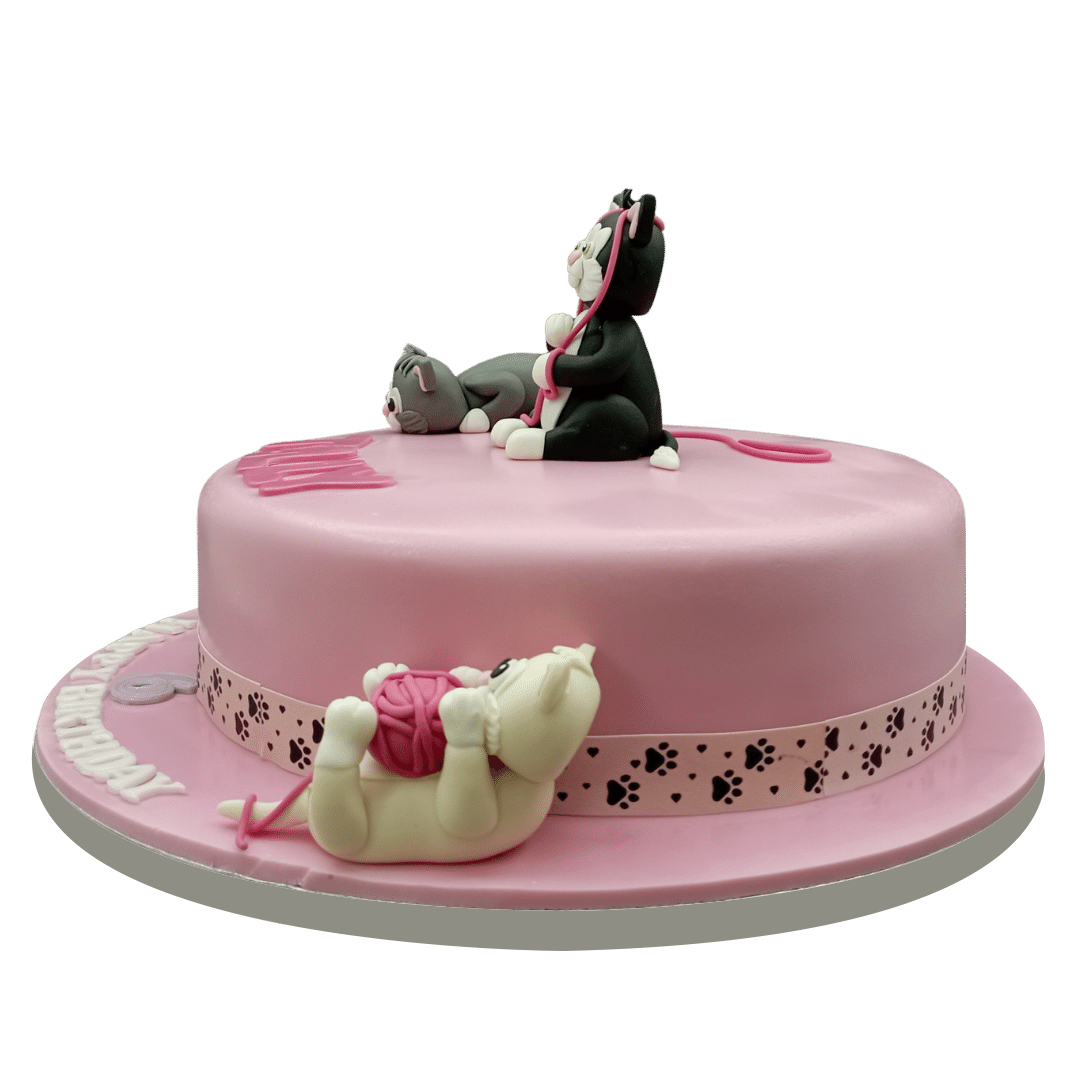 Cat Cake