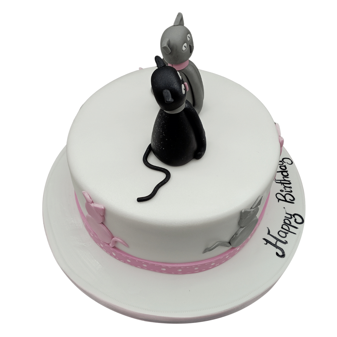 Cat Cake