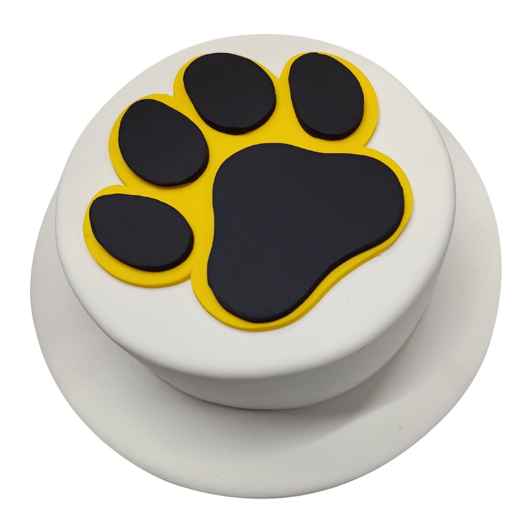 Cat Paw Themed Birthday Cake