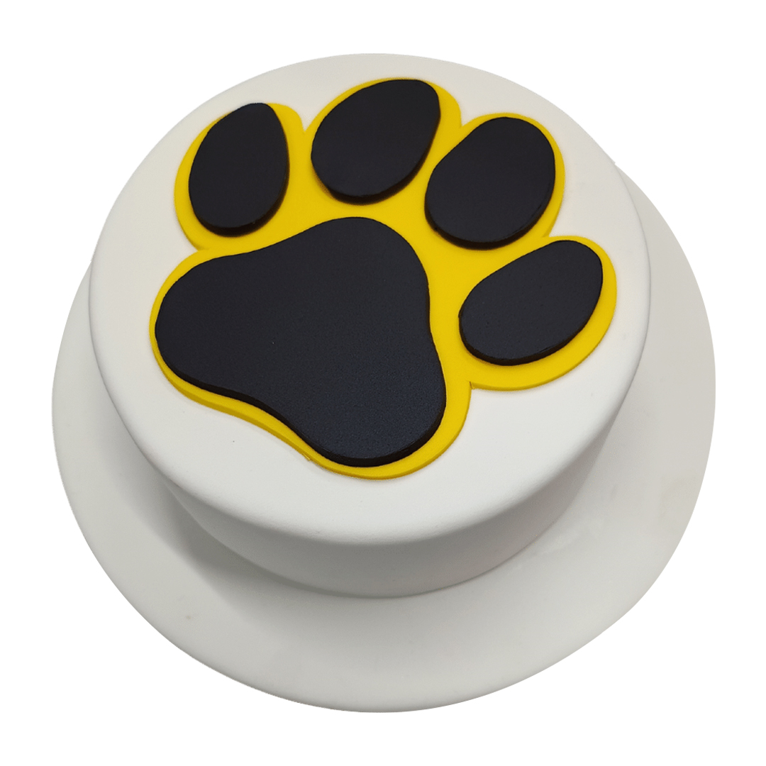 Cat Paw Themed Birthday Cake