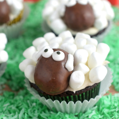 Chicken Themed  Cupcakes