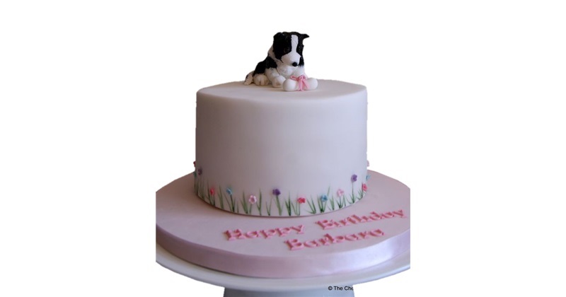 Border collie cake