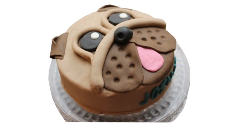 Cool Homemade Pug Dog Cake