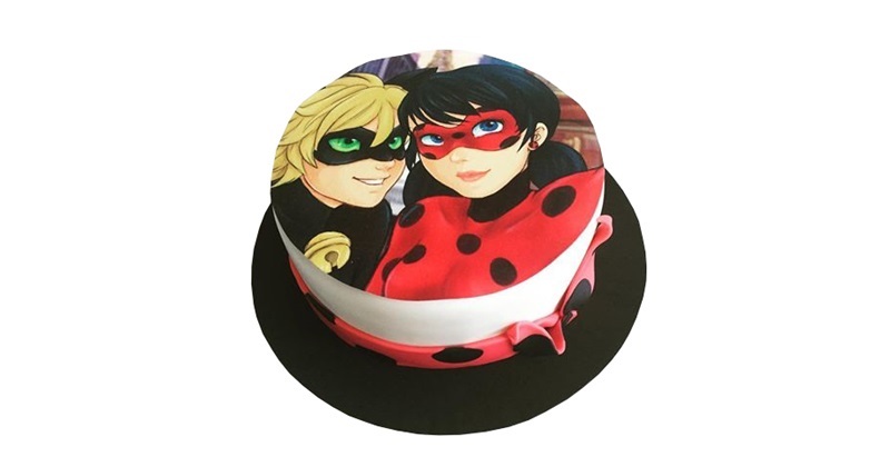 ladybug and cat de noir cake