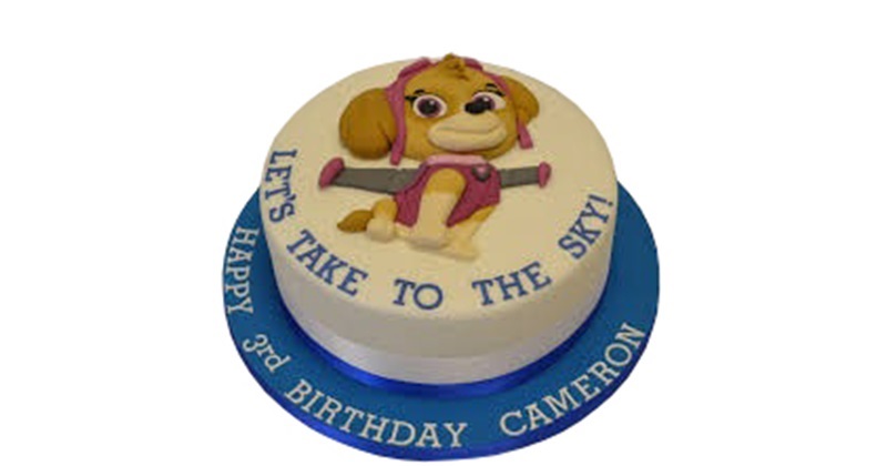 Paw Patrol Skye and Everest Edible Cake Image Cake Topper – Cakes For Cures