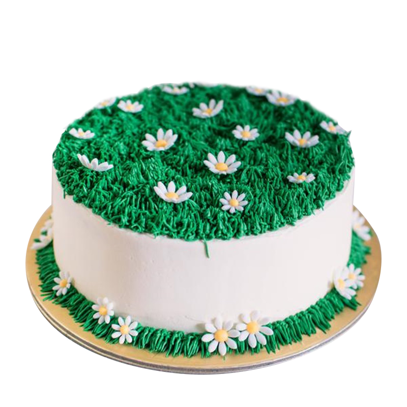 Decorated Cakes - Alpinepastry