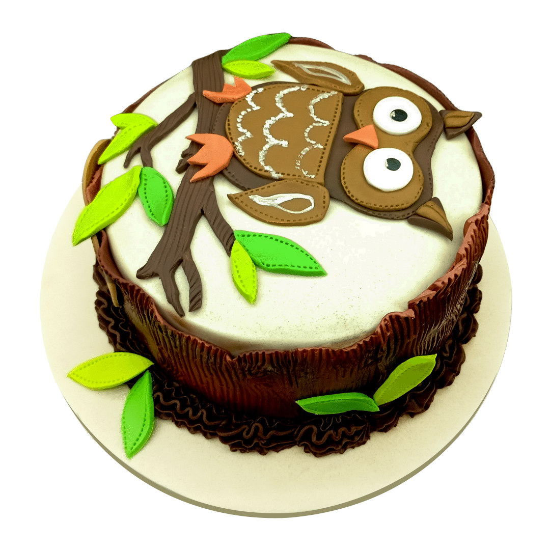 Owl Cake