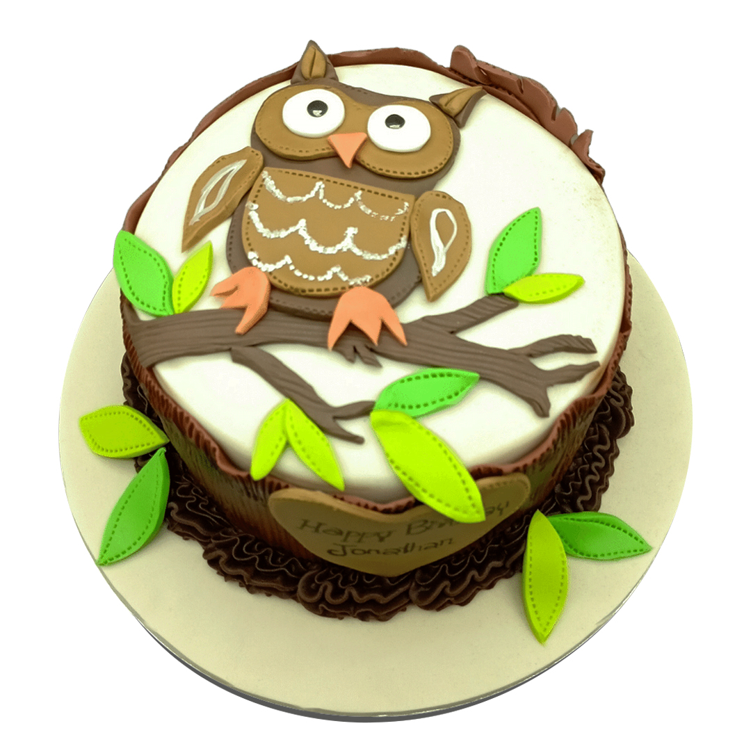 Owl Cake