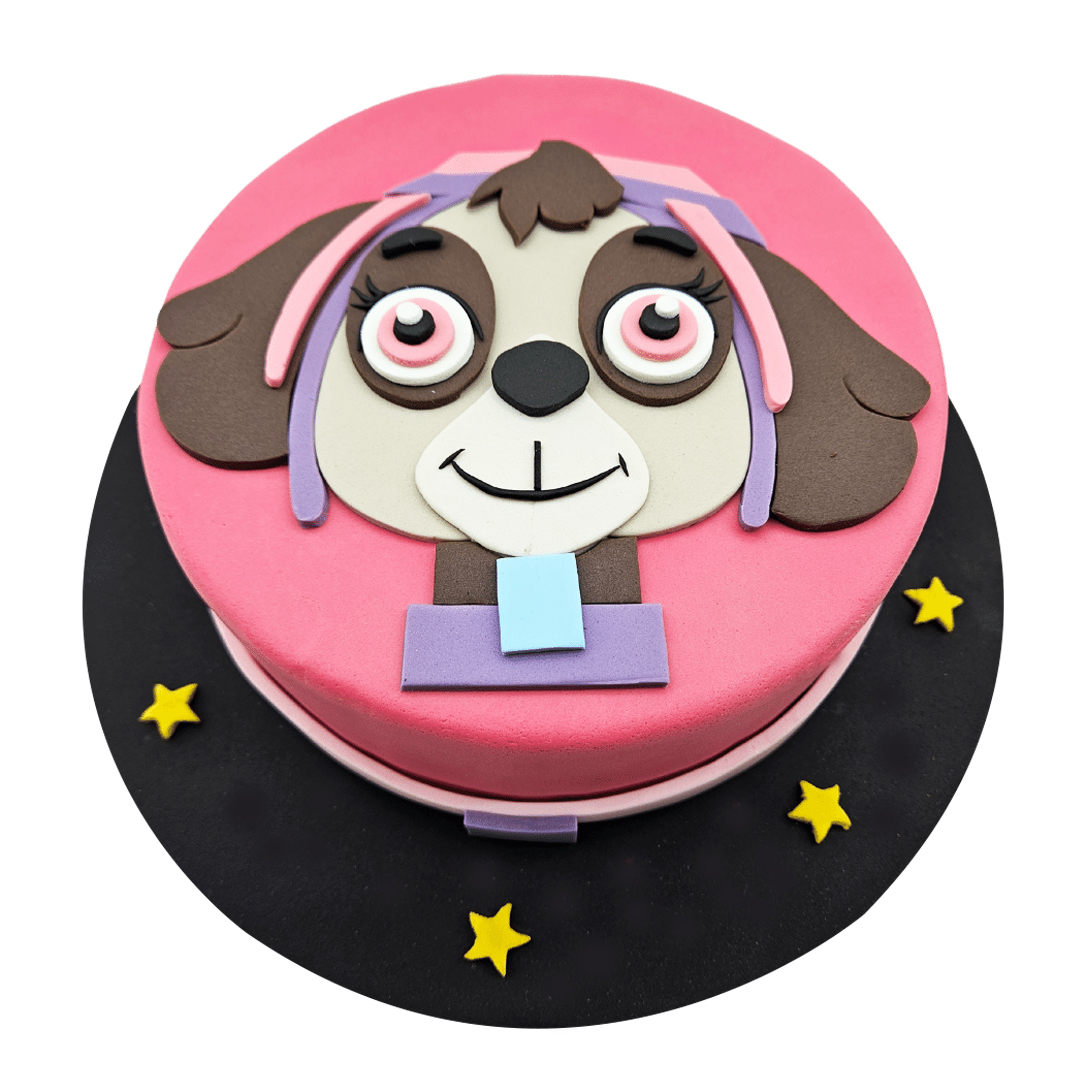 Paw Patrol Skye Birthday Cake