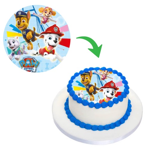 Paw Patrol Photo Cake