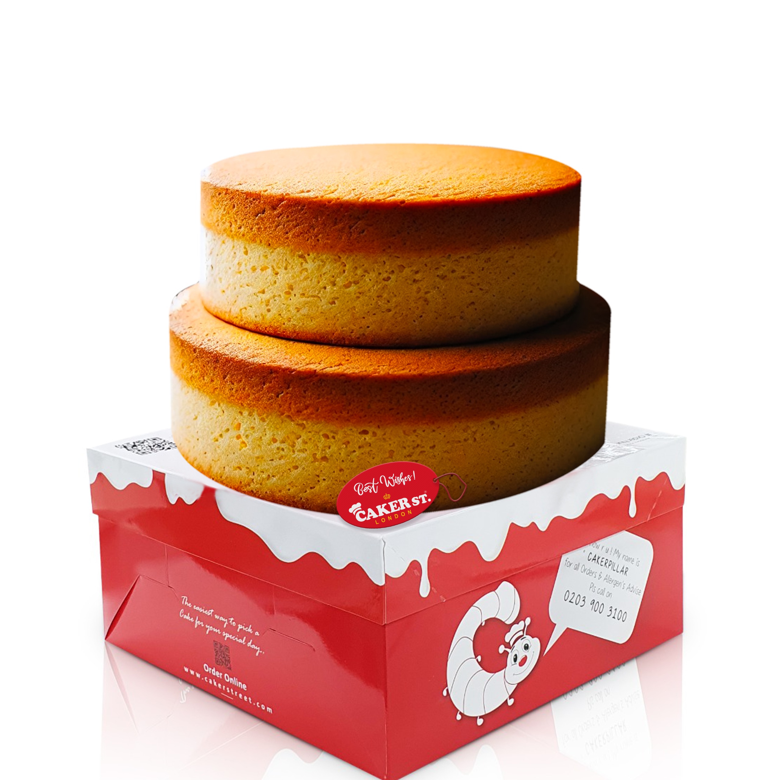 Vanilla Two-Tier Cake Sponge